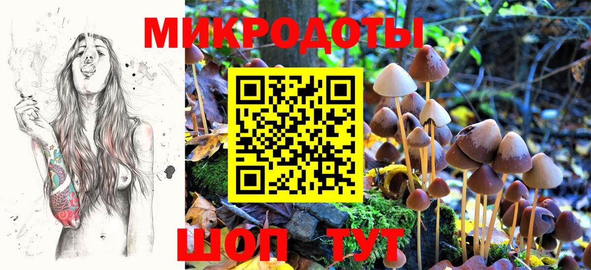 Касимов  Псилоцибиновые грибы GOLDEN TEACHER  Вход с VPN 